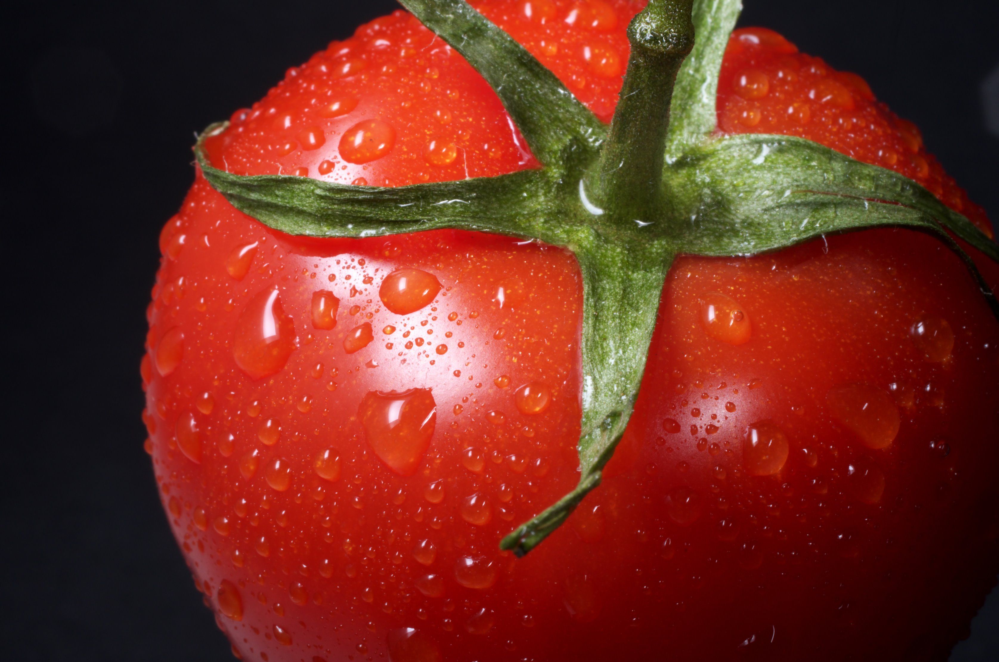 Bodega de los Secretos aporta 8 interesantes datos sobre el tomate
