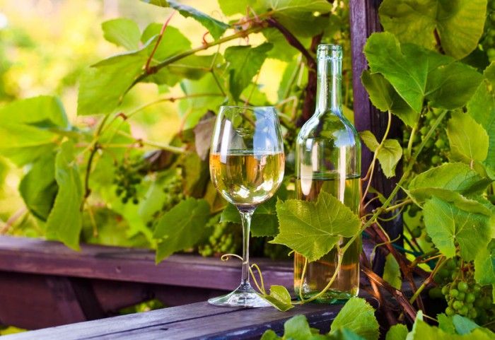 Delivinos Urban Gourmet explica los mitos y propiedades del vino blanco 